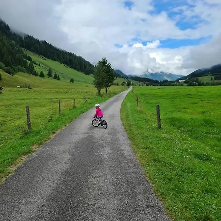 Johanna 4 By Smr Rauris - Near And Gondola * Taxenbach
