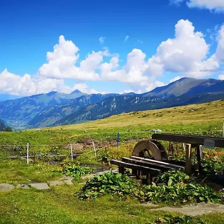 Johanna 4 아파트 *