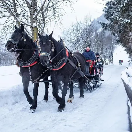 Johanna 4 탁센바흐