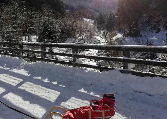 Johanna 4 Appartement Taxenbach