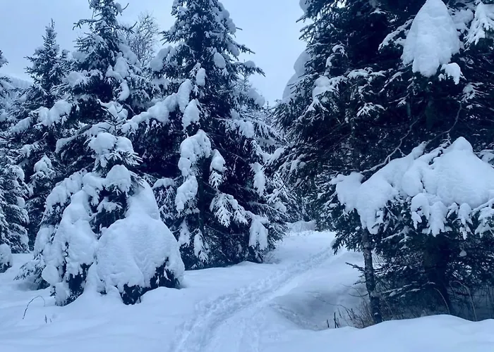 Appartement Johanna 4