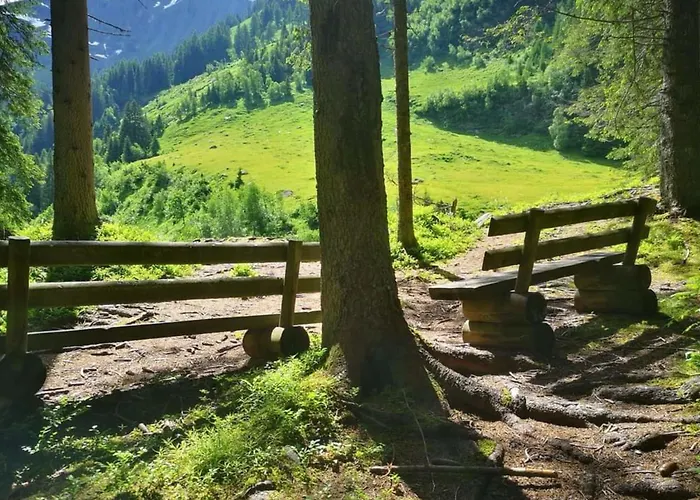 Johanna 4 تاكسنباخ