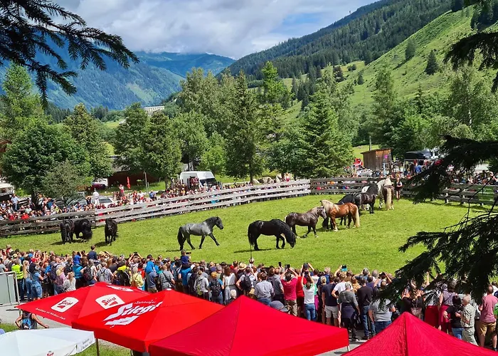 Johanna 4 Appartement Taxenbach